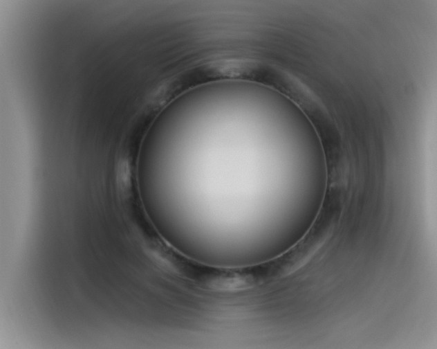 X0000115520646200911131446