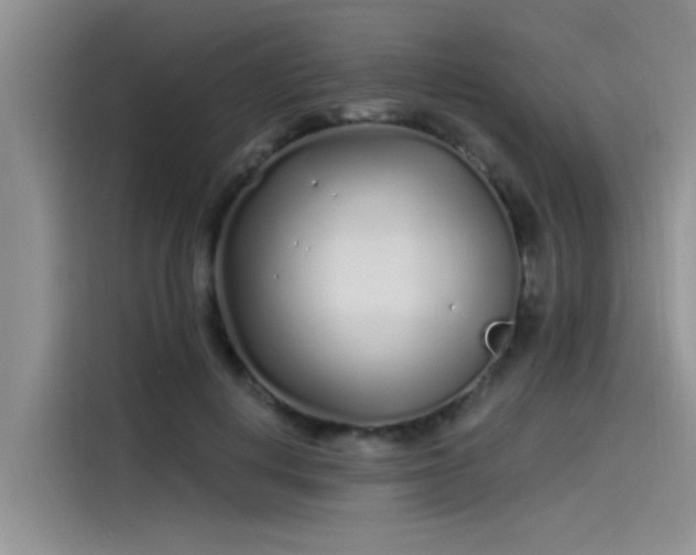 X0000115520648200911131446