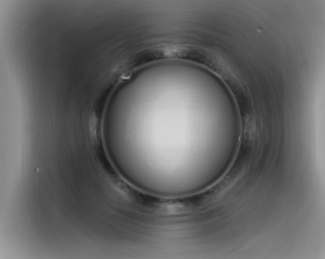 X0000115520650200911131446