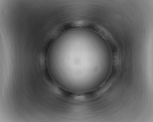 X0000115520653200911131446