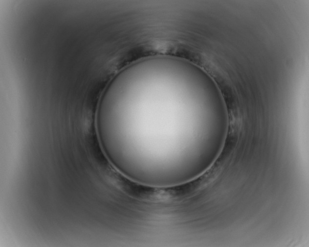 X0000115520656200911131446