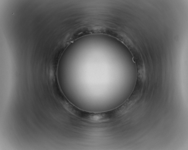 X0000115520662200911131446