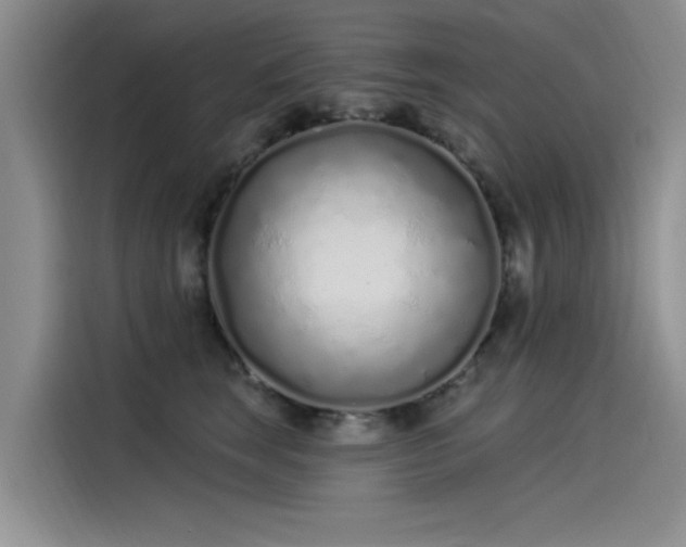 X0000115520663200911131446