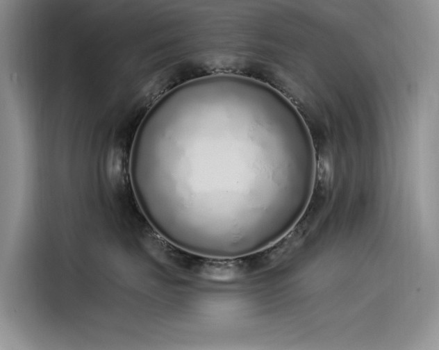 X0000115520671200911131446