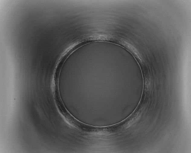 X0000115520674200911131446