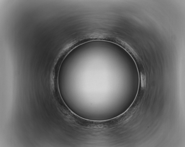 X0000115520675200911131446