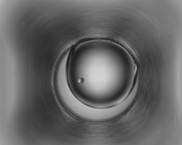 X0000115520677200911131446