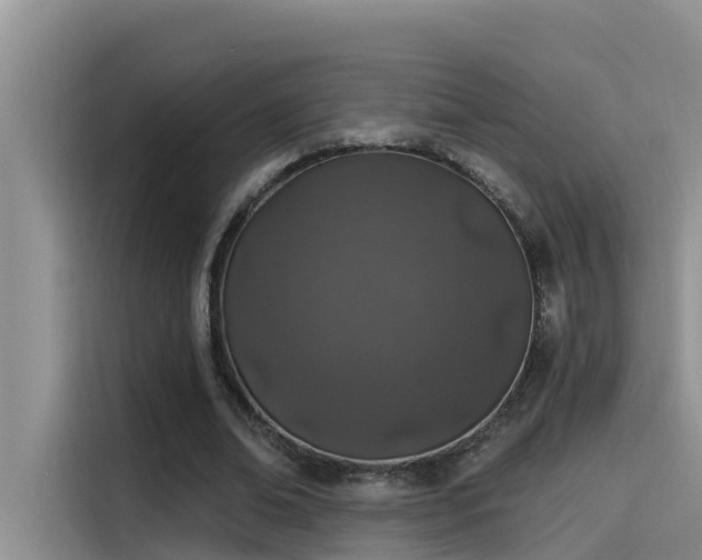 X0000115520678200911131446