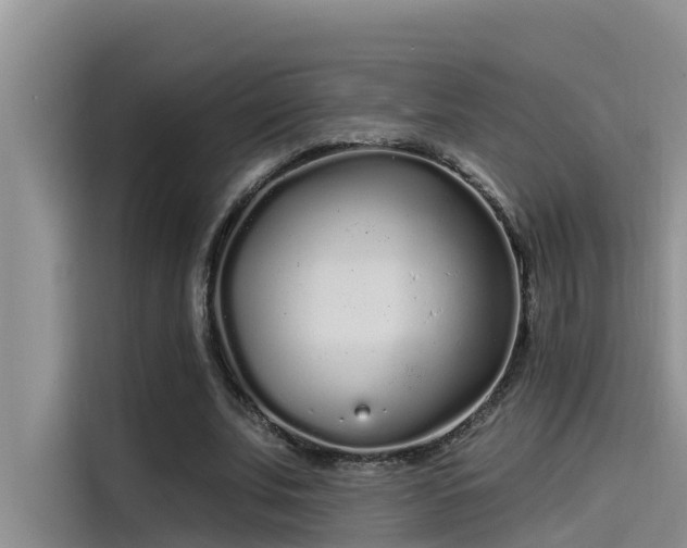 X0000115520679200911131446