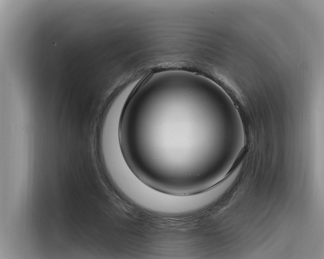 X0000115520681200911131446