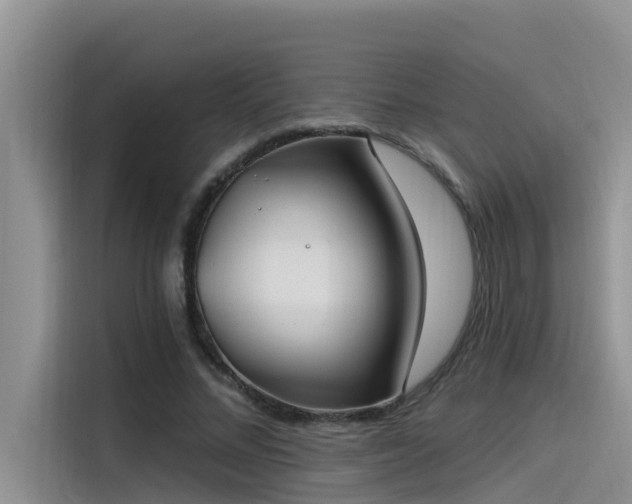 X0000115520684200911131446