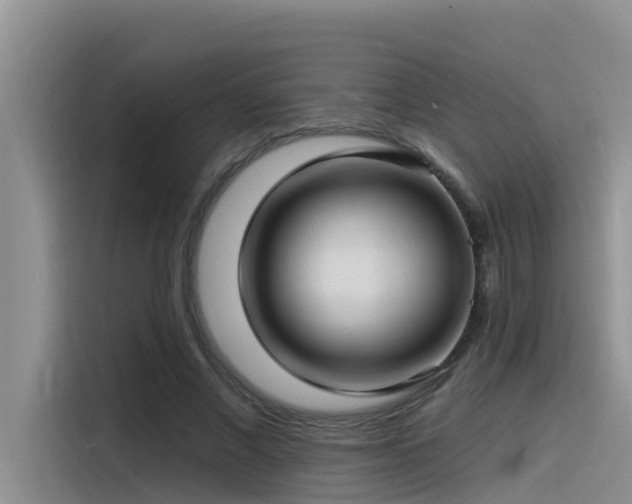 X0000115520685200911131446