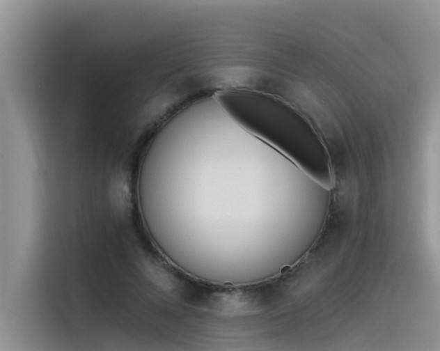 X0000115520688200911131445