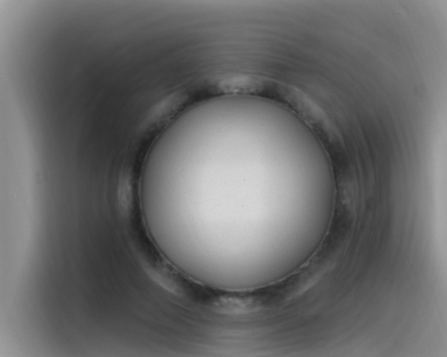 X0000115520690200911131445