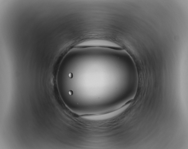 X0000115520692200911131445