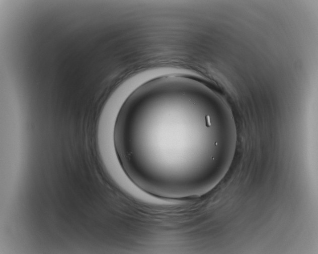 X0000115520693200911131445