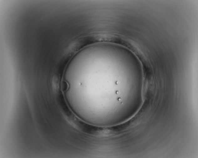 X0000115520695200911131445