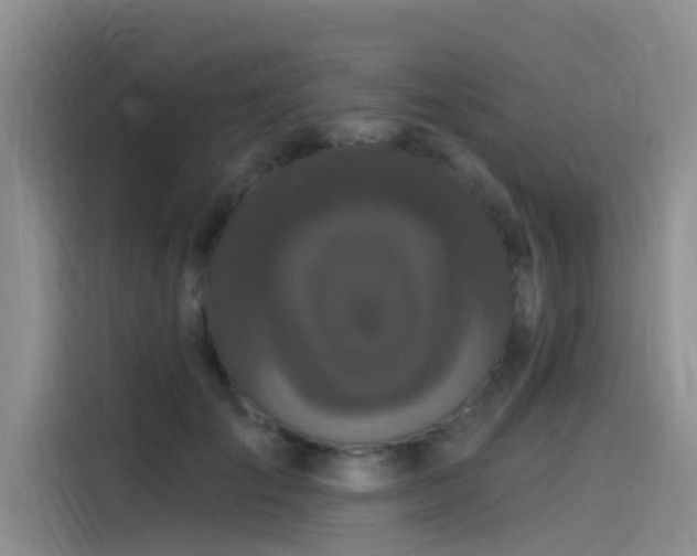 X0000115520701200911131445