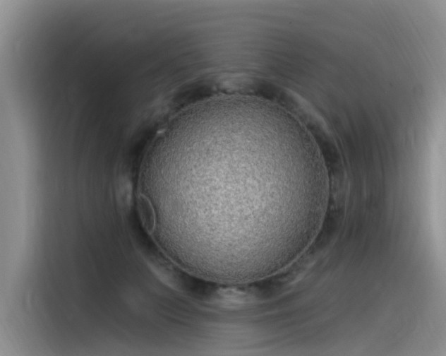 X0000115520703200911131445