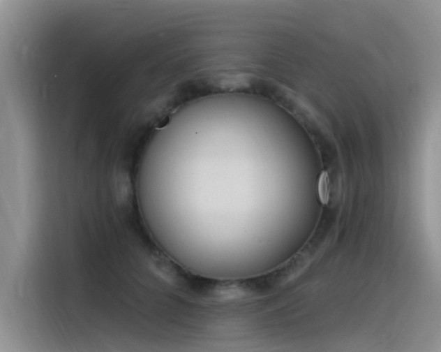 X0000115520704200911131445