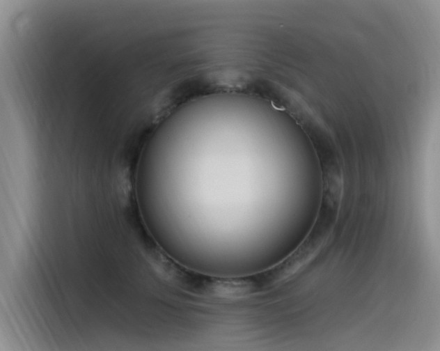 X0000115520707200911131445