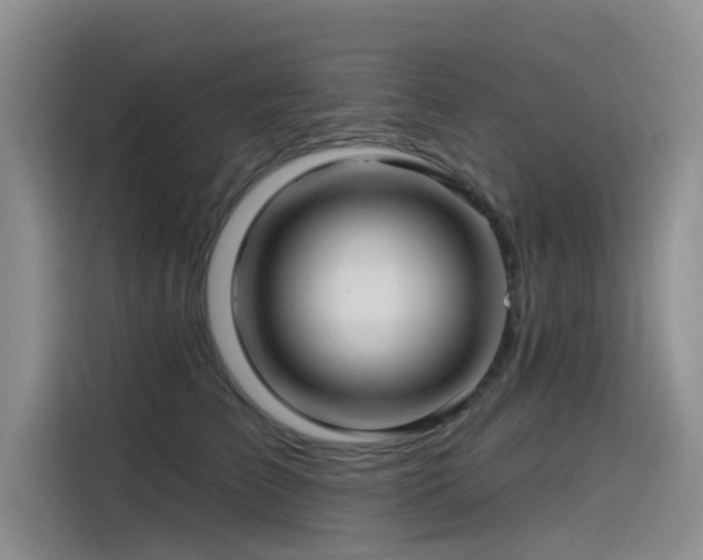 X0000115520709200911131445