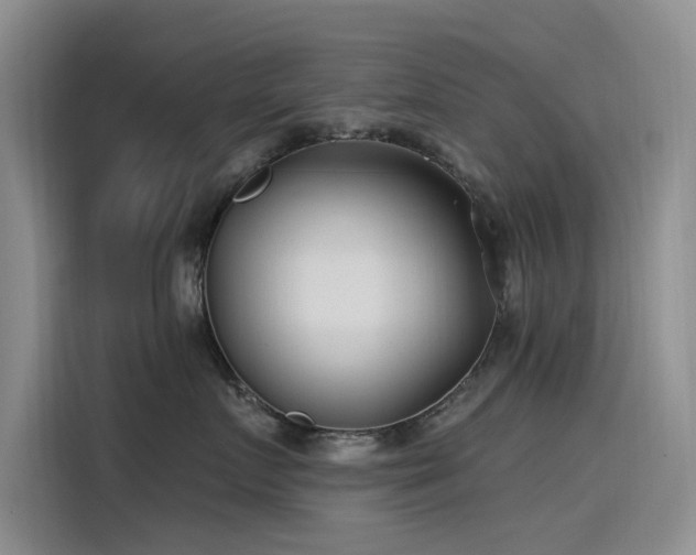 X0000115520719200911131445