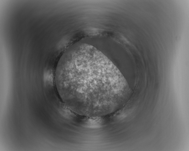 X0000115520720200911131445