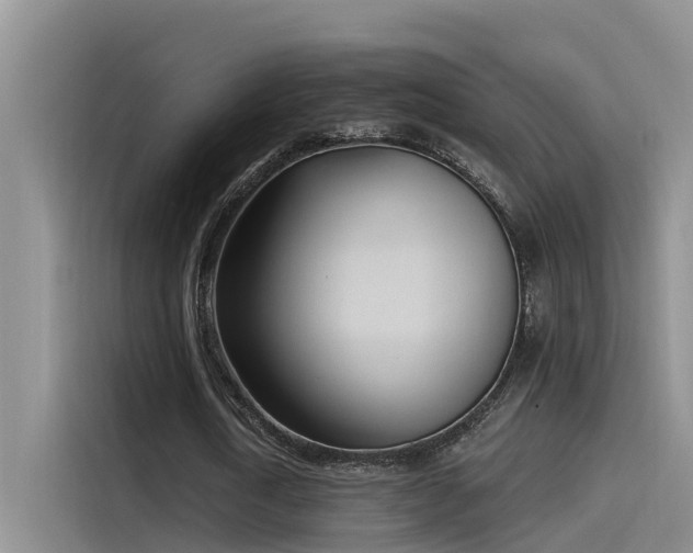 X0000115520722200911131444