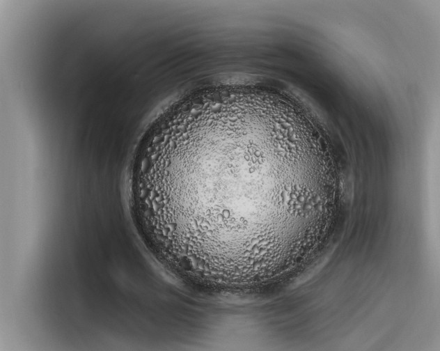 X0000115520725200911131445