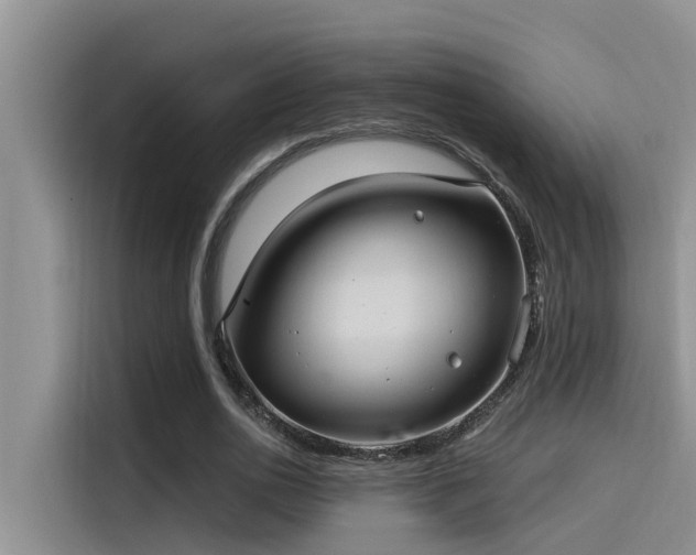 X0000115520726200911131445