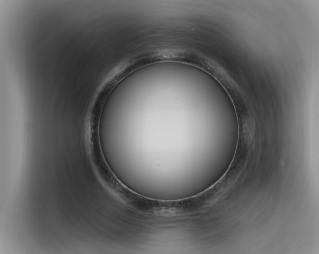 X0000115520730200911131445