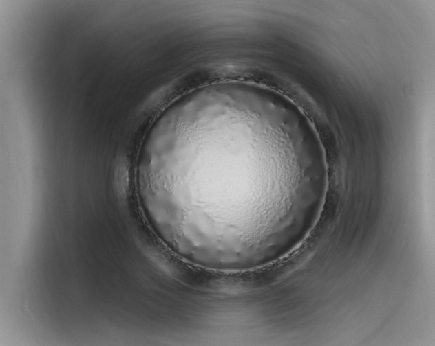 X0000115520733200911131445