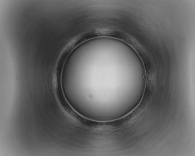 X0000115520734200911131445