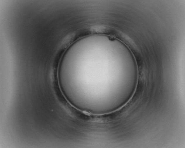 X0000115520738200911131445