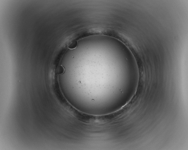 X0000115520739200911131445