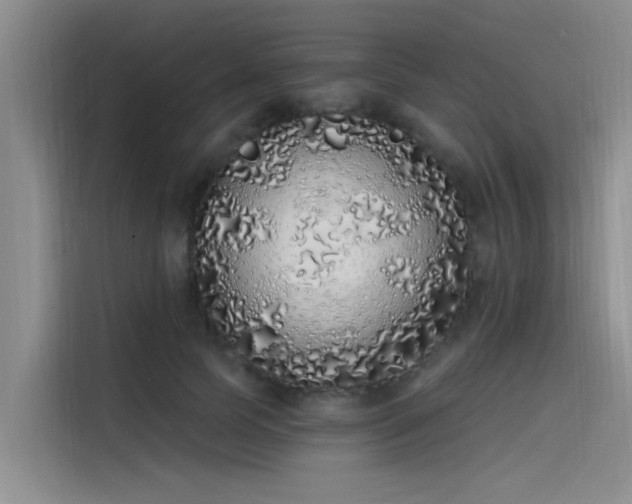 X0000115520745200911131445