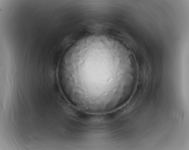 X0000115520749200911131445