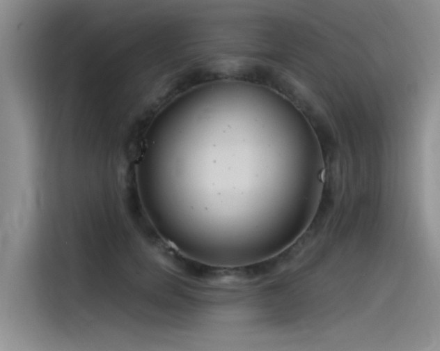 X0000115520750200911131445