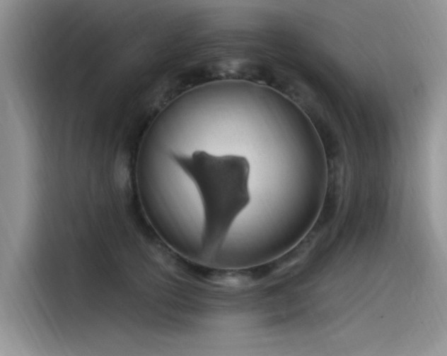 X0000115520754200911131445