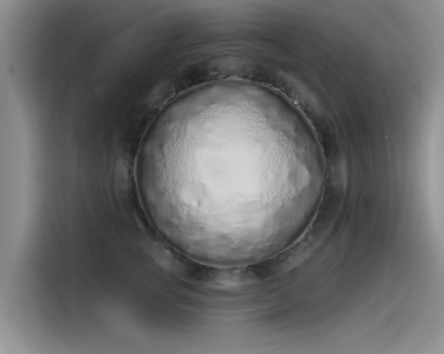 X0000115520757200911131445