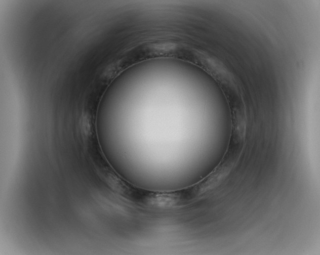 X0000115520758200911131445