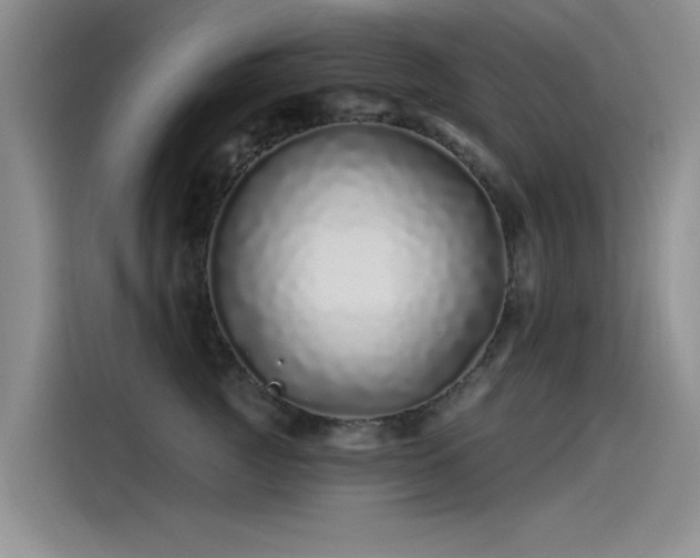 X0000115520761200911131445