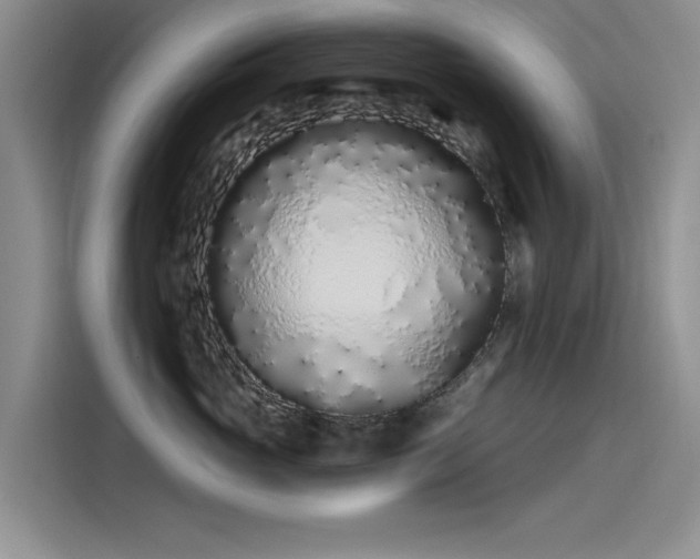 X0000115520765200911131445