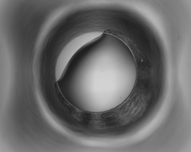 X0000115520766200911131445