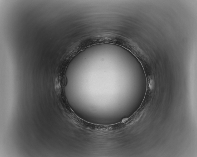 X0000115520771200911131444