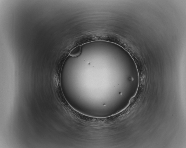 X0000115520772200911131444