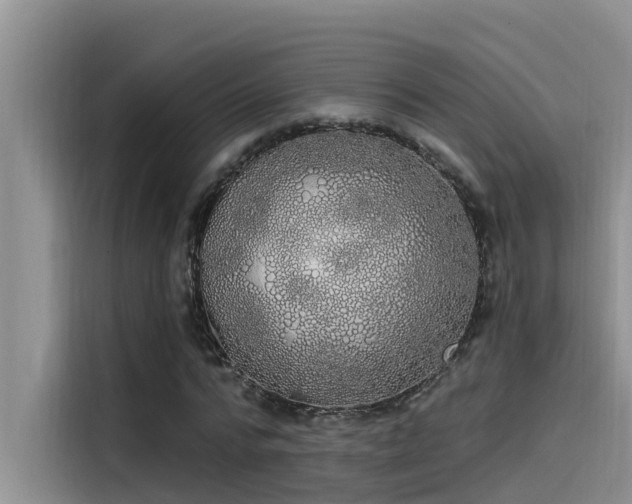 X0000115520776200911131444