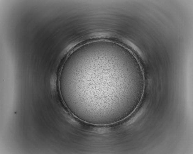 X0000115520778200911131444