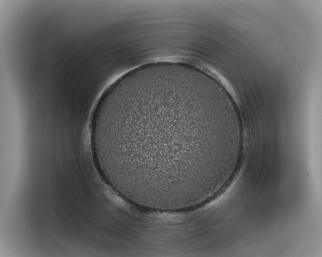 X0000115520779200911131444